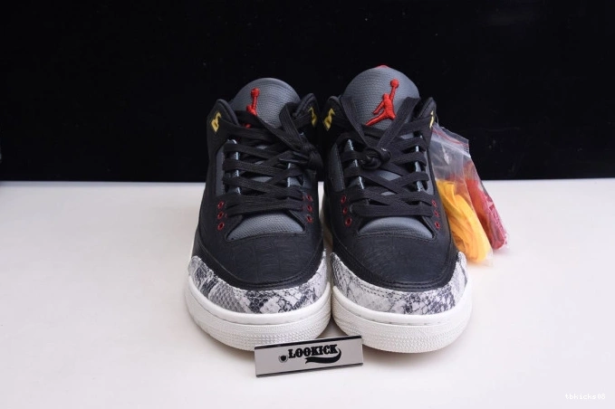 Rep TBkick SE Retro Jordan Air CV3583-003 3 2.0 - Instinct Animal 0804